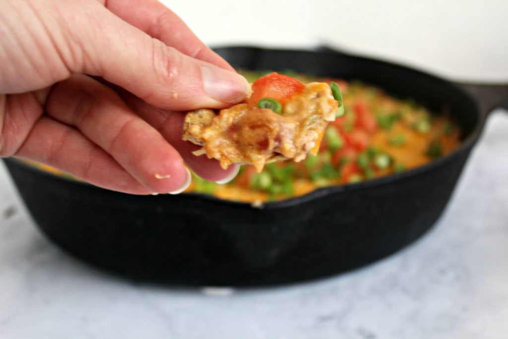 healthy chicken cheese dip