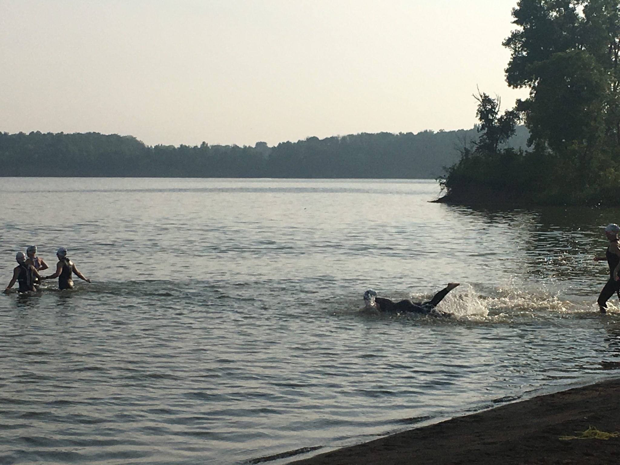 deer swim start